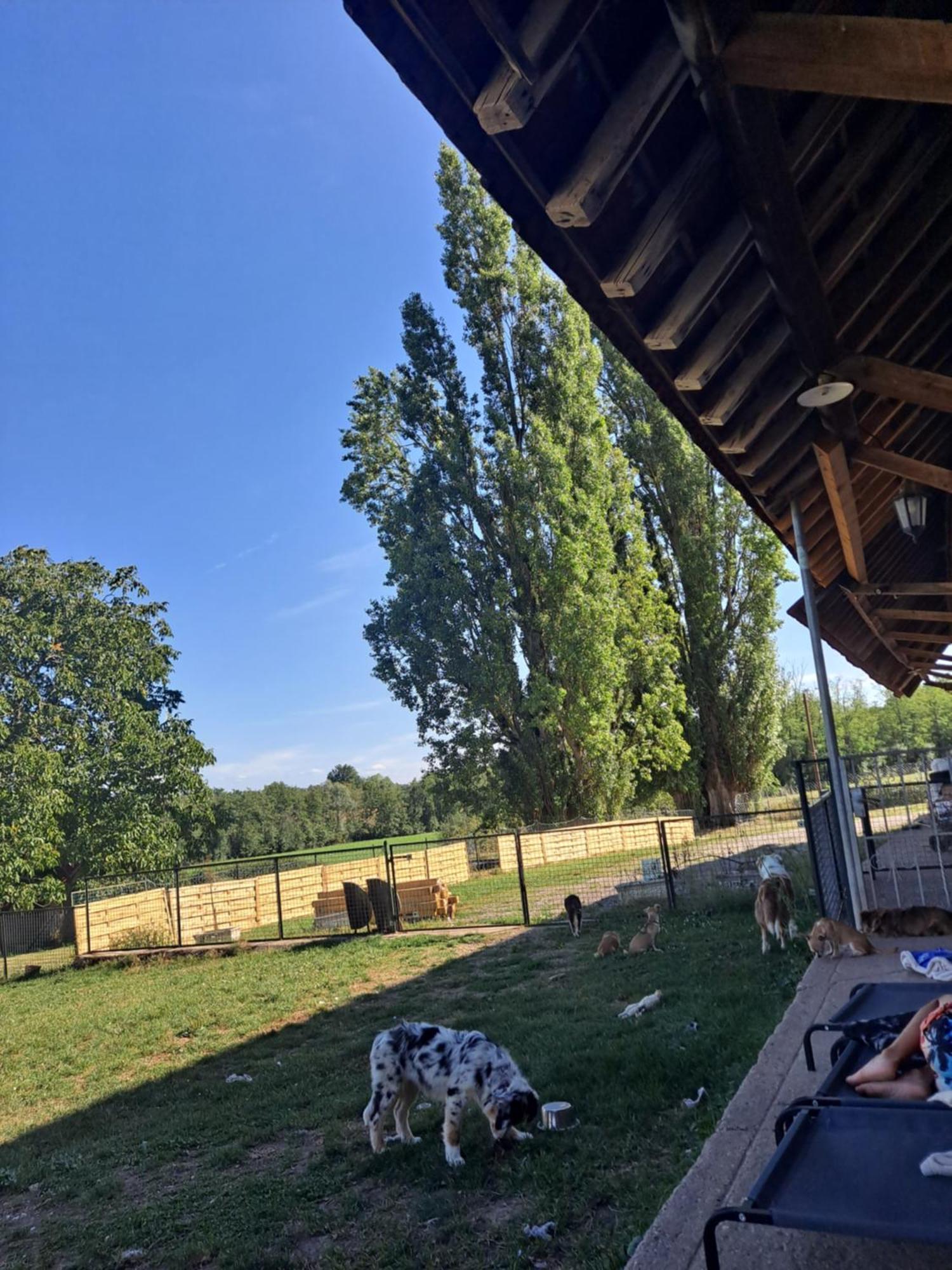 Apartment Les Lutins Reveurs Montagny-pres-Louhans